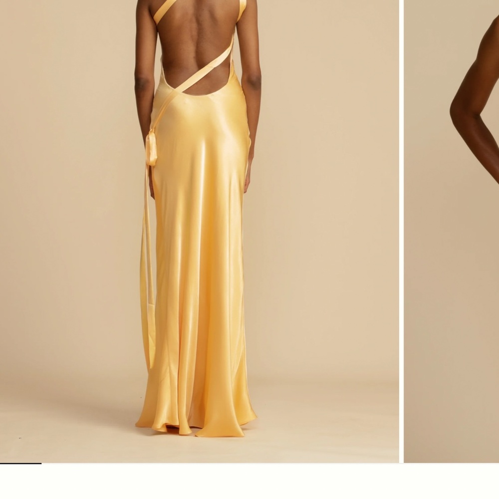 Arcina ori Monique dress - Picture 2 of 5